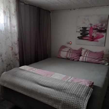 60 M² Ferienapartment Zentrumsnahe Mit Gartenbenutzung Στάιρ Εξωτερικό φωτογραφία
